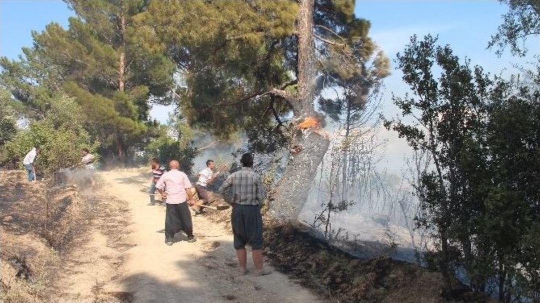 Mut&rsquo;ta Orman Yangını