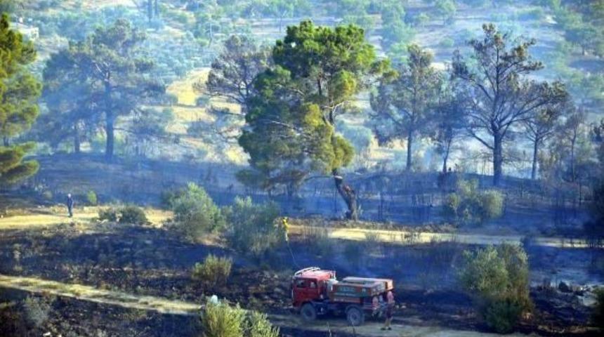 Orman Yangını Korkuttu