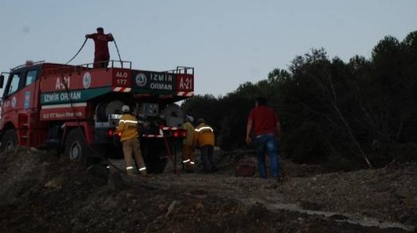 Aliağa'da Orman Yangını (2)