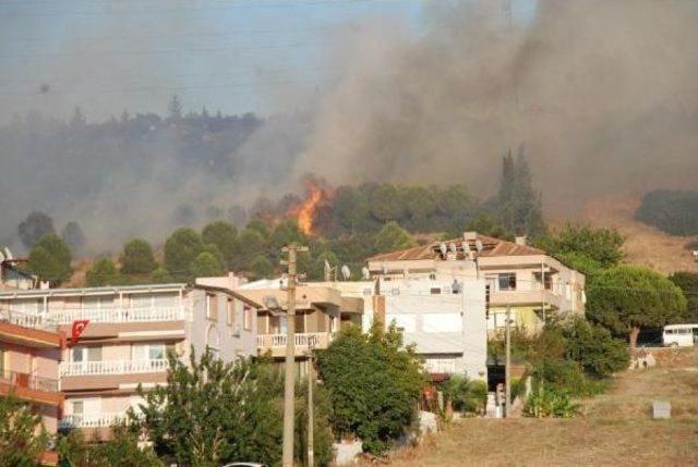 Aliağa'da Orman Yangını (2)