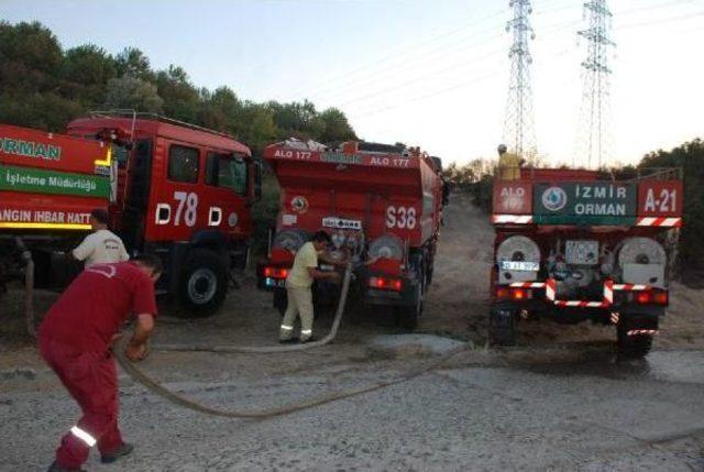 Aliağa'da Orman Yangını (2)