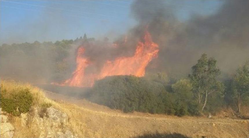 Aliağa&rsquo;da Orman Yangını