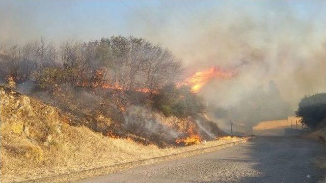 Aliağa’da Orman Yangını