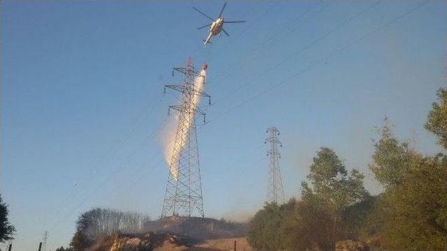 Aliağa’da Orman Yangını