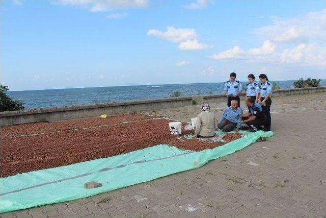 Giresun Emniyet Müdürlüğünden “fındık Altına Dönüşüyor, Emeğinizi Çaldırmayın, Alın Terinize Sahip Çıkın” Projesi