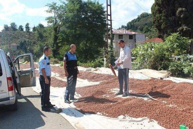 Giresun Emniyet Müdürlüğünden “fındık Altına Dönüşüyor, Emeğinizi Çaldırmayın, Alın Terinize Sahip Çıkın” Projesi