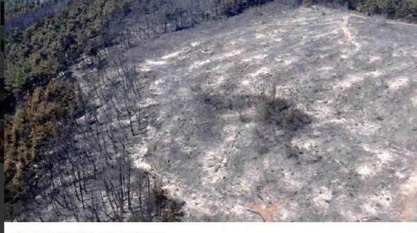 Vali Karaloğlu&rsquo;Nun &Ccedil;ağrısı Kampanyaya D&ouml;n&uuml;şt&uuml;