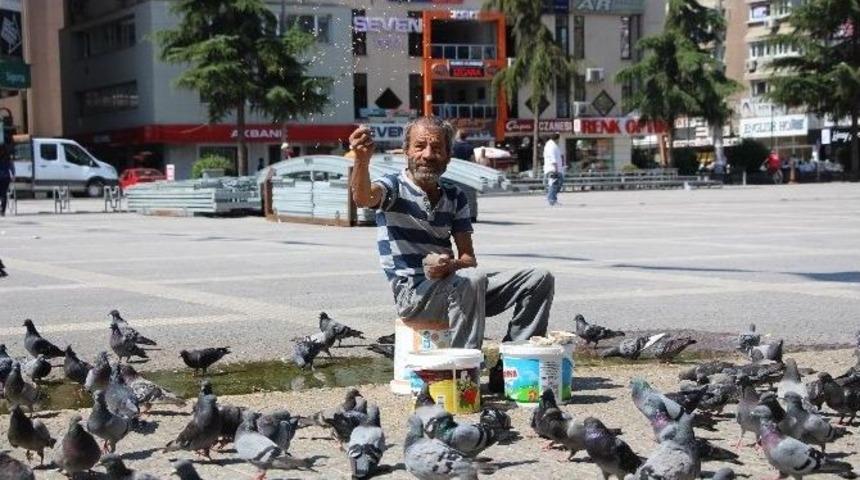 Yuvasız Kuşların Nazım Babası