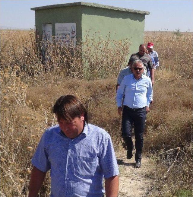 (özel Haber) Çeşmelerinden Solucan Ve Kurbağa Akan Köyde İnceleme Başlatıldı