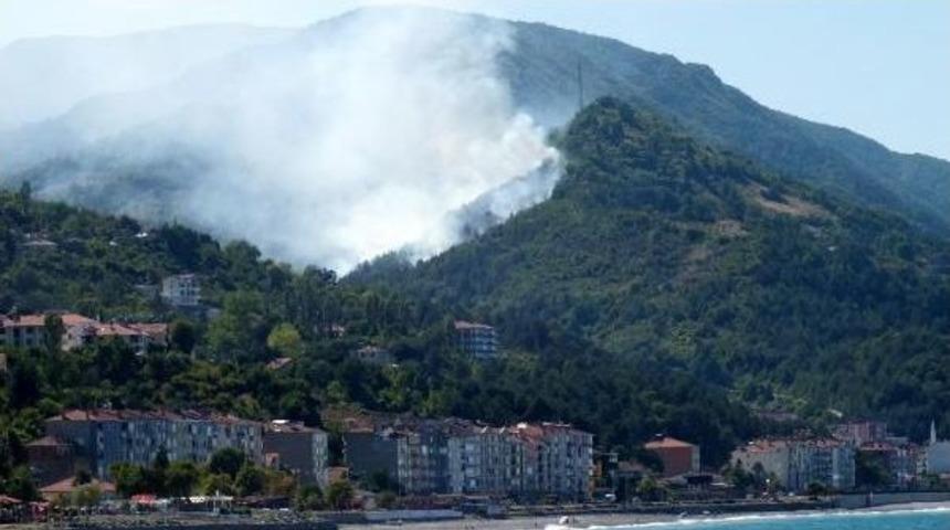 İnebolu'da Orman Yangını (1)