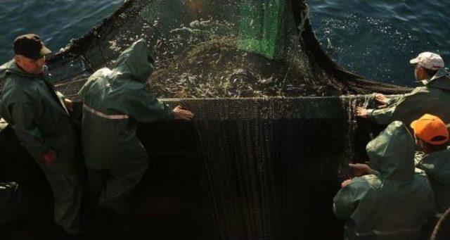 Samsunlu Balık&ccedil;ılar  vira Bismillah  Dedi 1