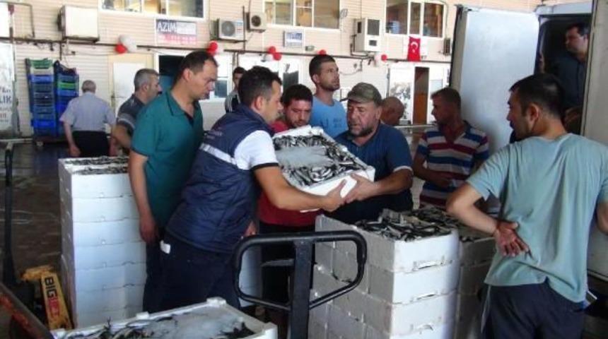 Sezonun Ilk G&uuml;n&uuml;nde Hamsi Bereketi (2)