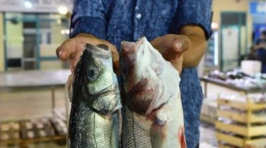 İzmirli Balık&ccedil;ılar Yeni Sezonu A&ccedil;tı