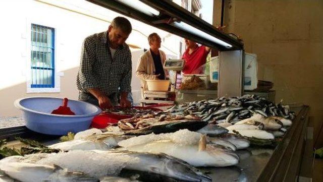 Ordulu Balık&ccedil;ılar Umduğunu Bulamadı 1