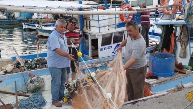 Ordulu Balık&ccedil;ılar Umduğunu Bulamadı 2