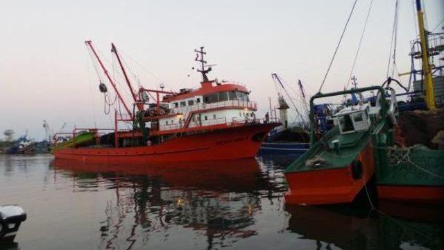 Ordulu Balık&ccedil;ılar Umduğunu Bulamadı 3