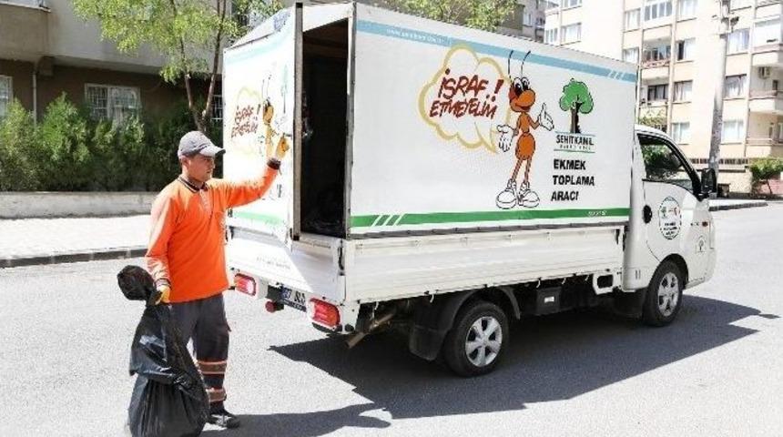 Bayat Ekmek Toplama Projesi İle Hayvanlara Yem Sağlanıyor