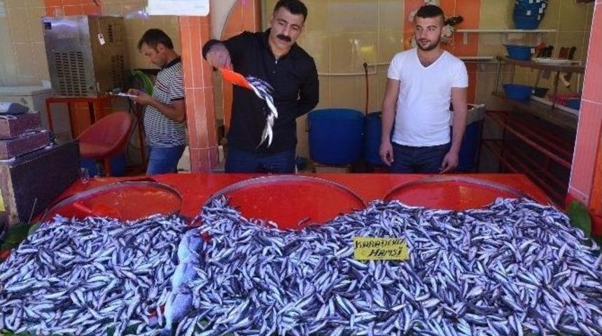 Yasak Bitti, Balık Tezgahları Şenlendi