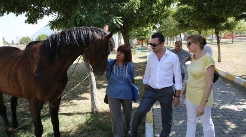 Magider&rsquo;den Can Dostlara Anlamlı Ziyaret