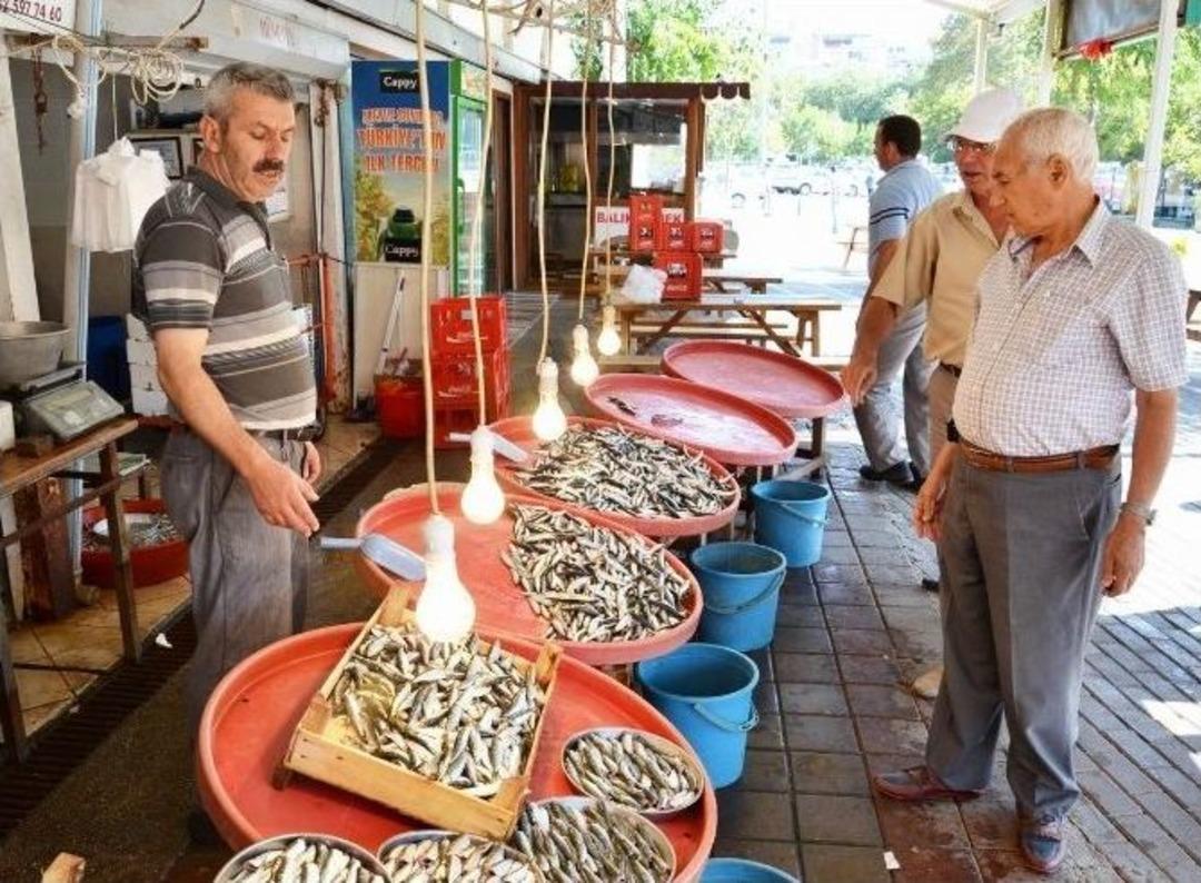10 Yıl Aradan Sonra Denizlerden Sevindiren Haber