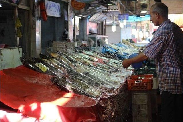 Deniz Balığı Tezgahlardaki Yerini Aldı