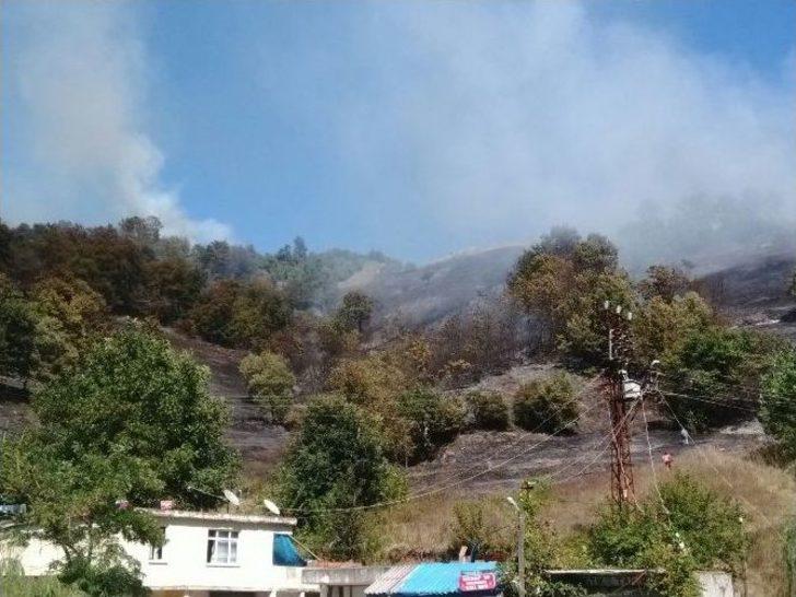 Zonguldak’ta Orman Yangını