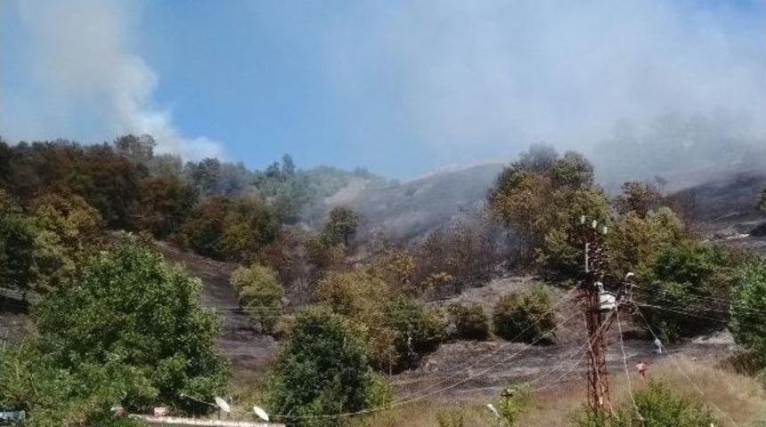 Zonguldak&rsquo;ta Orman Yangını
