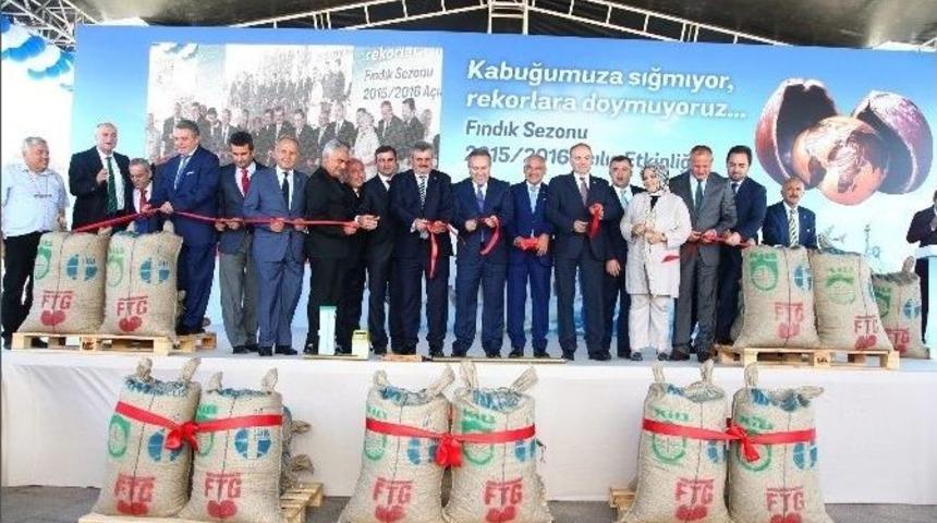 Yeni Sezon Fındık İhracatı Ak&ccedil;akoca&rsquo;da Şenlikle Start Aldı