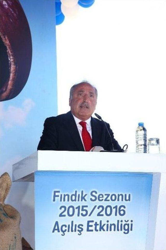 Yeni Sezon Fındık İhracatı Akçakoca’da Şenlikle Start Aldı