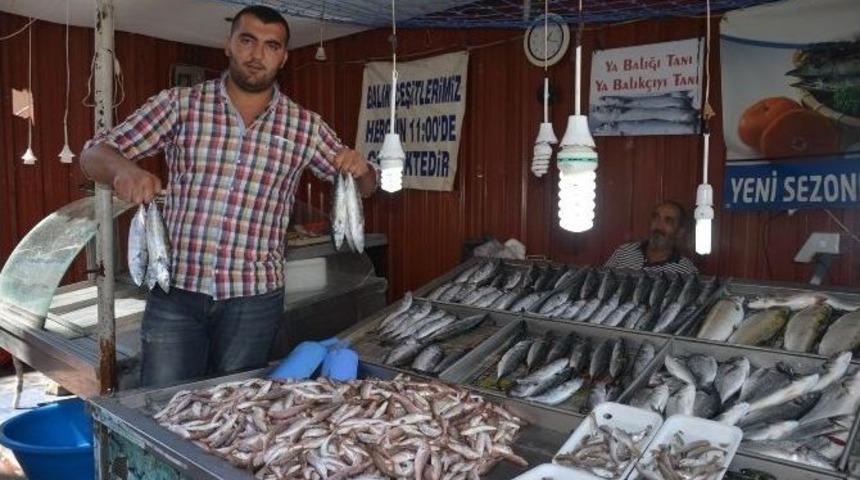 Tezgahlar Balık &Ccedil;eşitleriyle Şenlendi