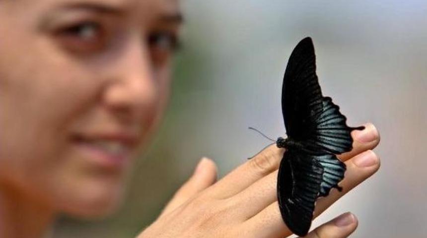 Antalya'da Kelebek Park A&ccedil;ıldı