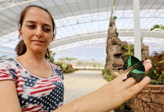 Antalya da Kelebek Park A&ccedil;ıldı 1