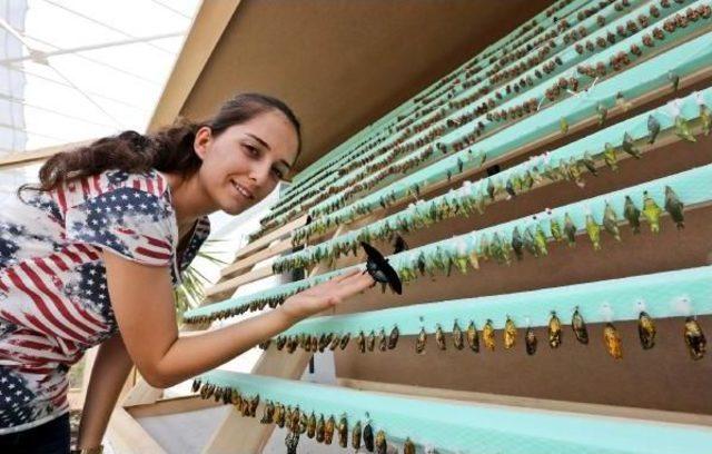 Antalya da Kelebek Park A&ccedil;ıldı 2