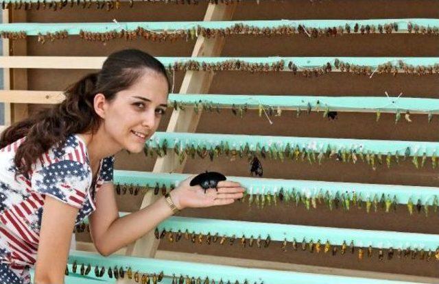 Antalya da Kelebek Park A&ccedil;ıldı 3