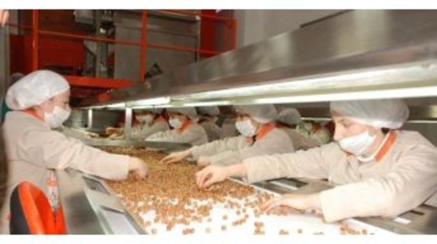 Fındık İhracatında T&uuml;m Zamanların Rekoru Kırıldı