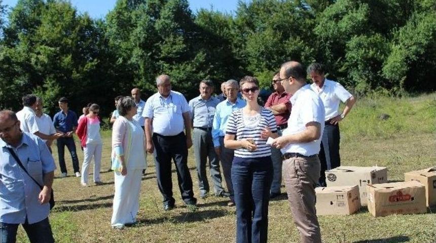 1000 S&uuml;l&uuml;n Doğaya Salındı