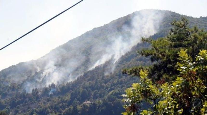 Zonguldak'ta 3 Hektarlık Orman Alanı Yangında Zarar G&ouml;rd&uuml;