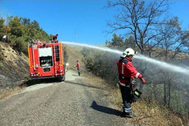 Zonguldak'ta 3 Hektarlık Orman Alanı Yangında Zarar Gördü