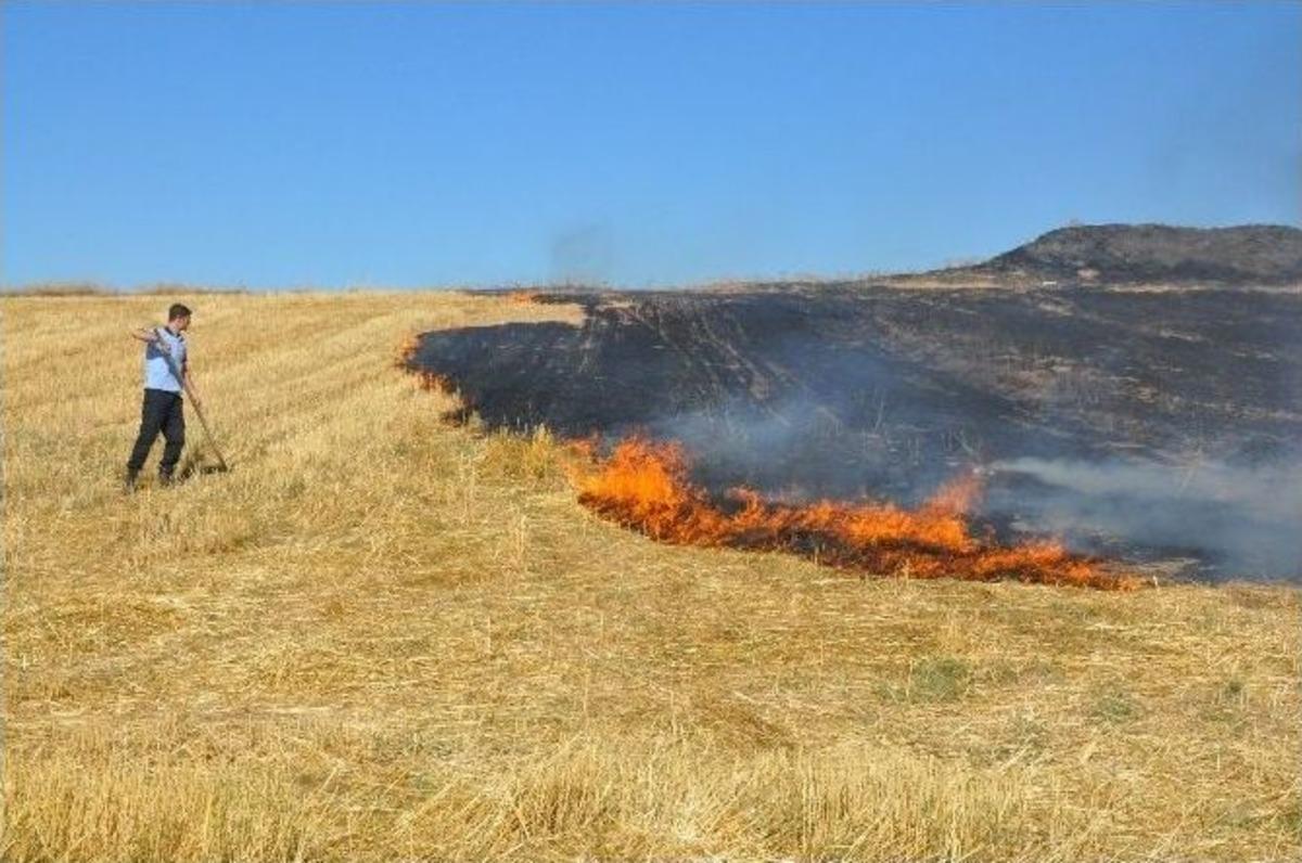 Arazi Yangınını K&uuml;rekle S&ouml;nd&uuml;rd&uuml;ler
