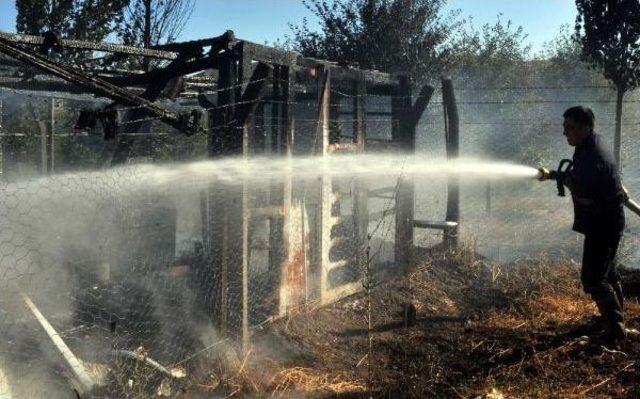 İtfaiye Aracı Hararet Yapınca Ekipler Yangını Kürekle Söndürdü