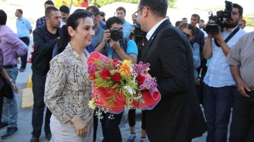 Hdp Ve Dbp Eş Başkanlarının Van Ziyareti