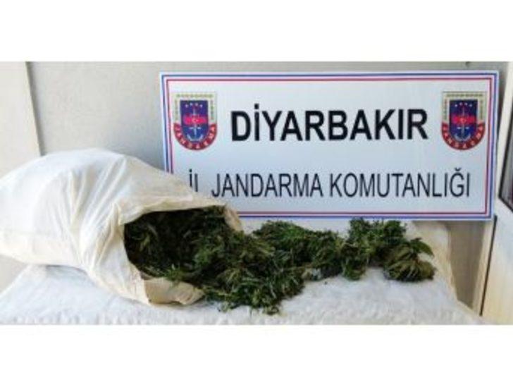 Diyarbakır’da 17 Buçuk Kilo Uyuşturucu Ele Geçirildi