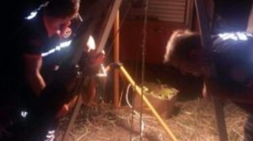 Kuyuya D&uuml;şen Kuzuyu Akut Kurtardı