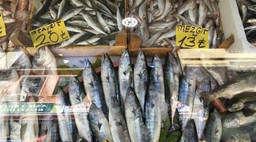 &Ccedil;ingene Palamudu Tezgahlarda Yerini Aldı