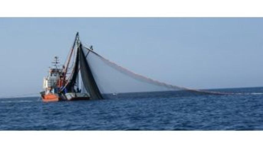 Ordu&rsquo;da 19 Tekne Balık&ccedil;ılıktan &Ccedil;ekildi