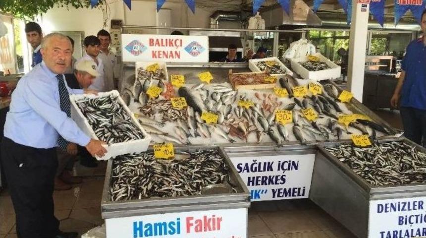 Marmara Denizi&rsquo;nde Hamsi Bolluğu