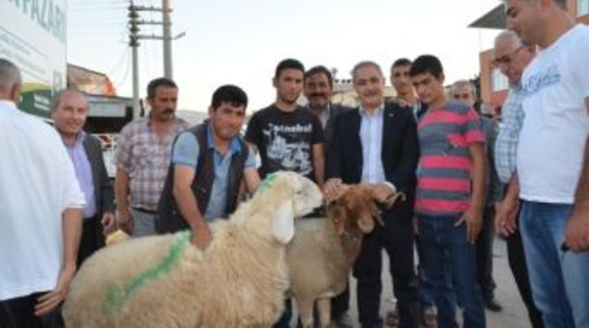 Osmaniye&rsquo;de Kurbanlık Fiyatları Belirlendi