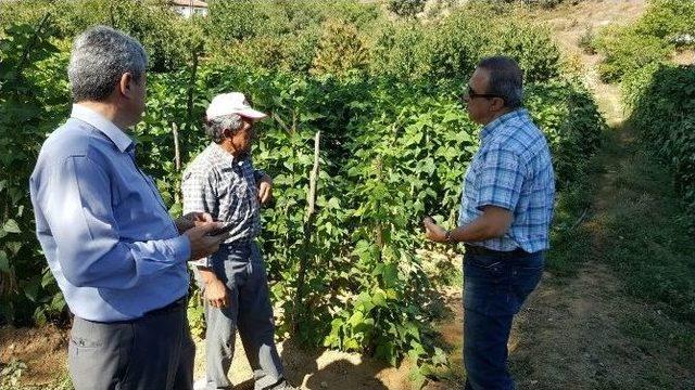 Alaşehir Belediyesi Mahallelerdeki Sorunları Yerinde İnceliyor 1