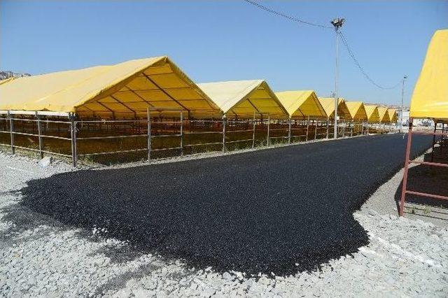 Beylikdüzü Modern Kurban Satış Ve Kesim Yeri, Yeni Yerinde Bayrama Hazırlanıyor