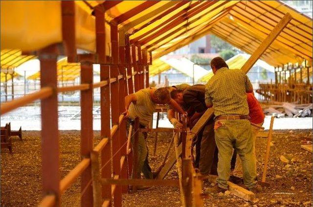 Beylikdüzü Modern Kurban Satış Ve Kesim Yeri, Yeni Yerinde Bayrama Hazırlanıyor